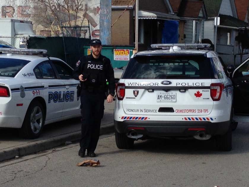 Windsor police on the scene of an incident involving a stolen vehicle.