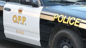 Picture of an OPP cruiser
