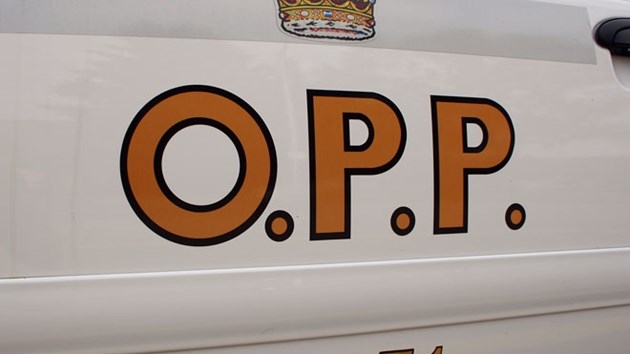 Closeup of an OPP car's door.